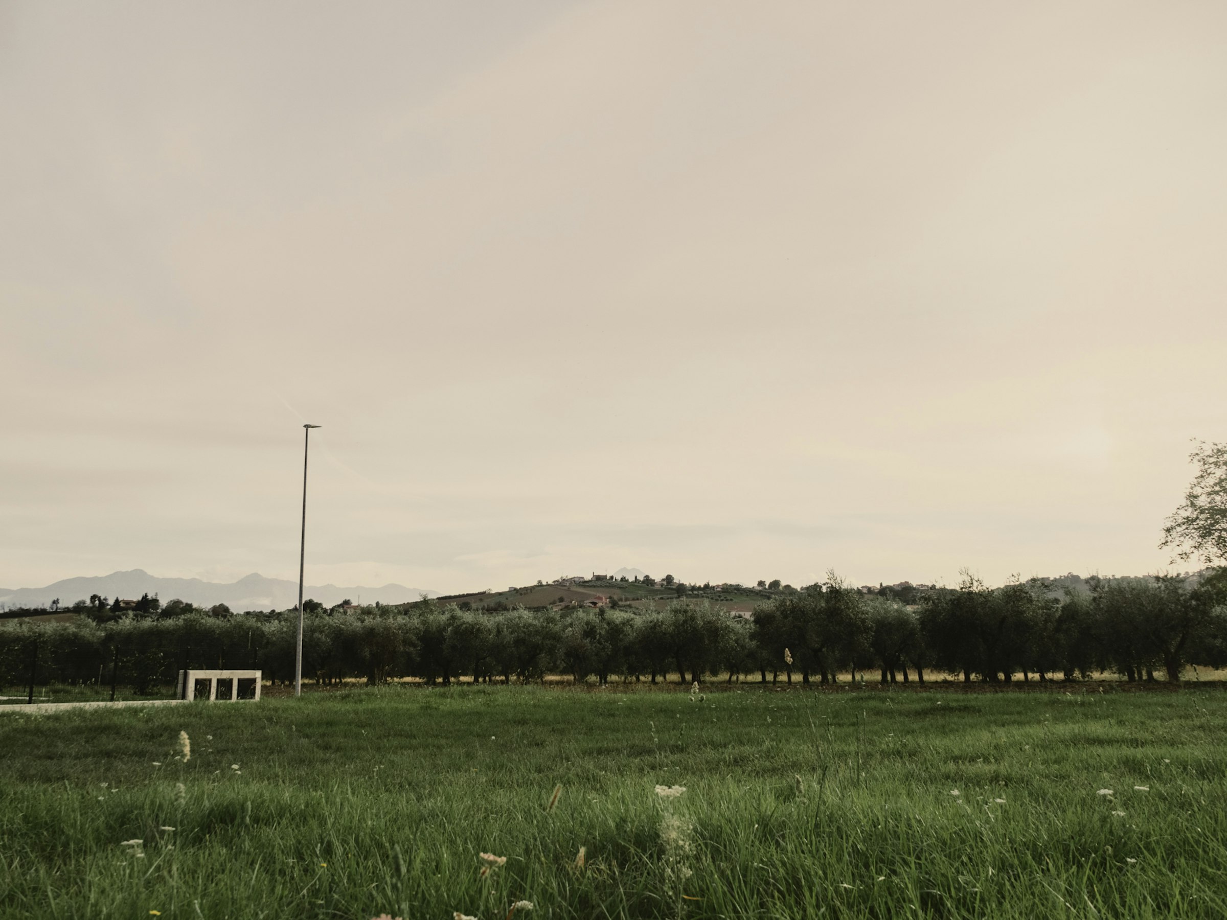 Green Camp photo 5
