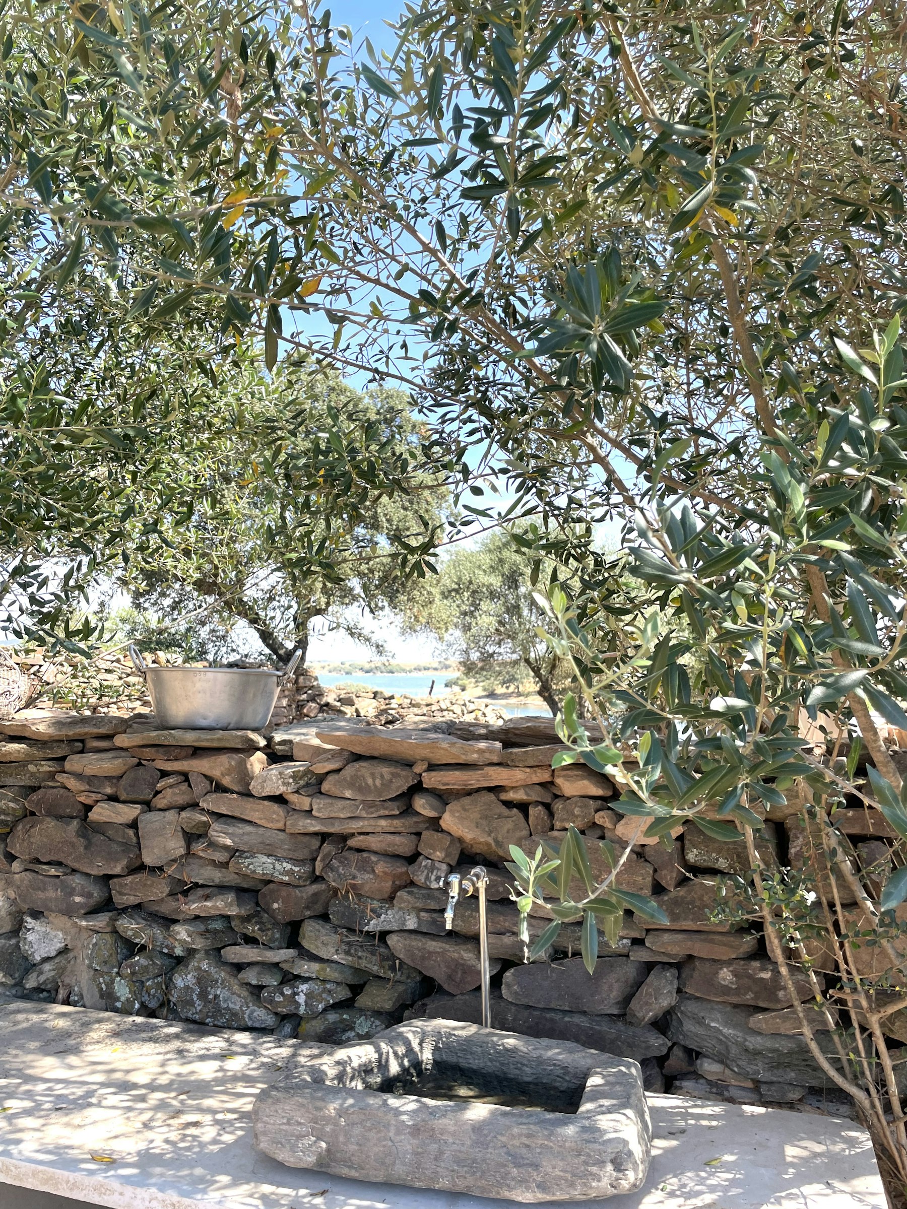 Luxury Glamping at Alqueva Lake photo 5