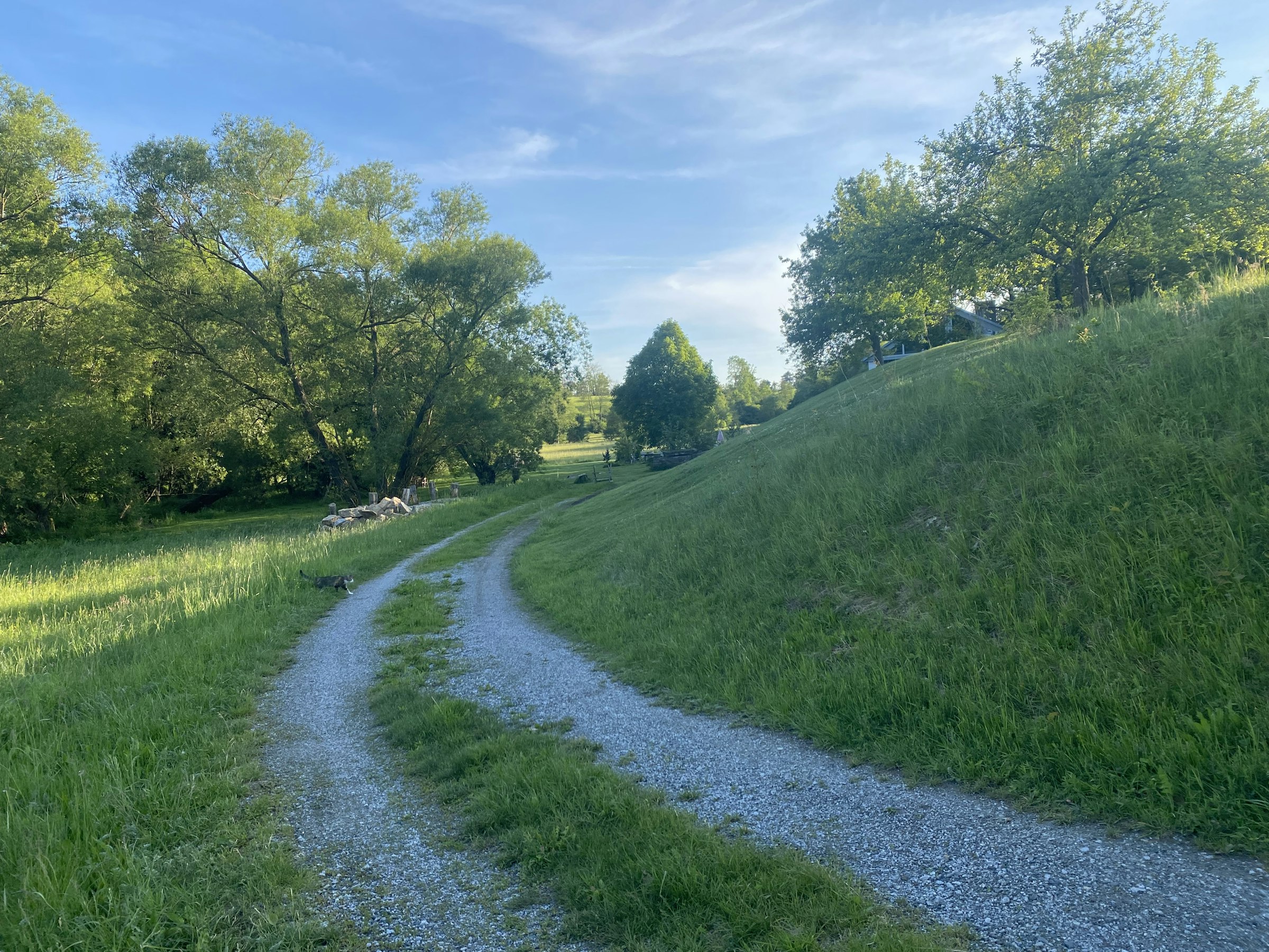 Auszeit von der Stadt photo 4