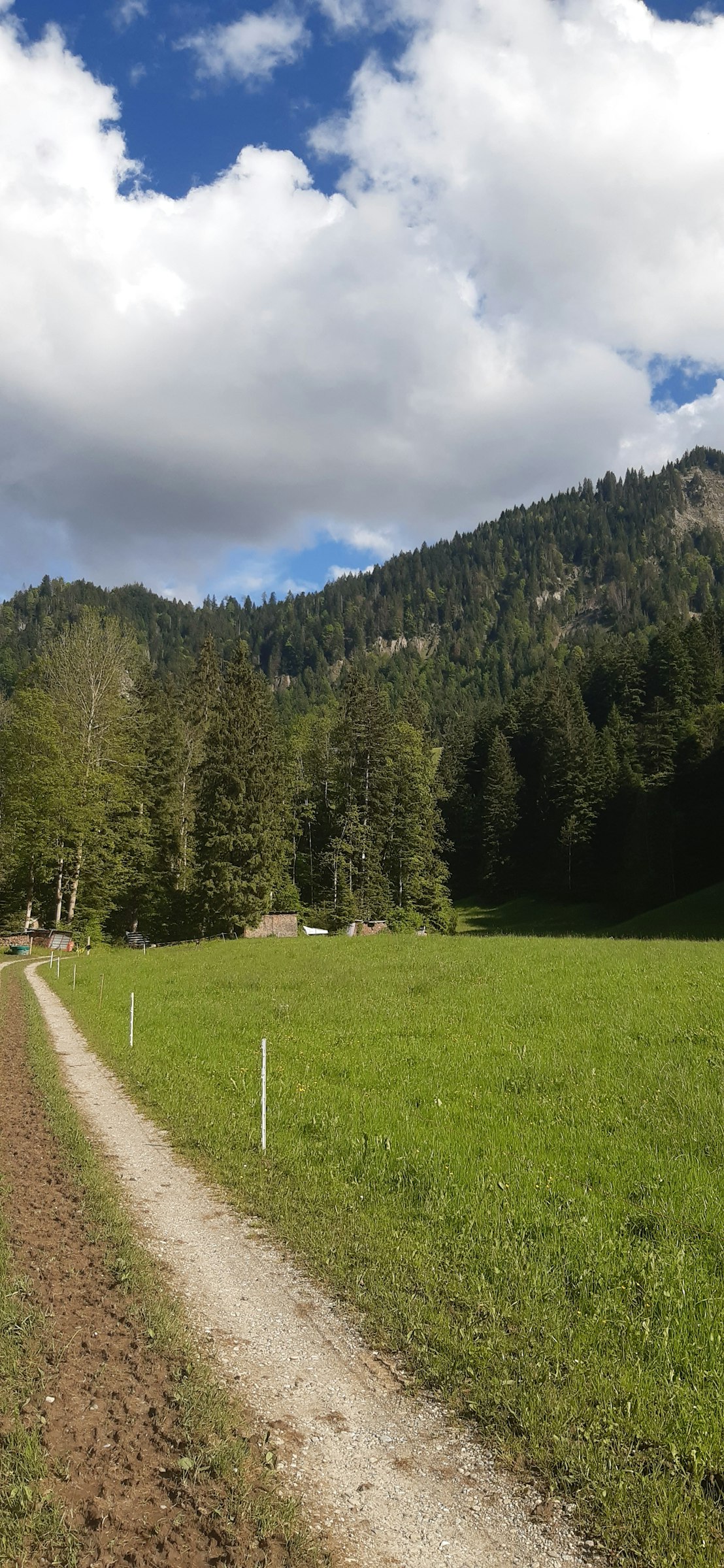 Stellplatz bei Hilferenbach photo 3