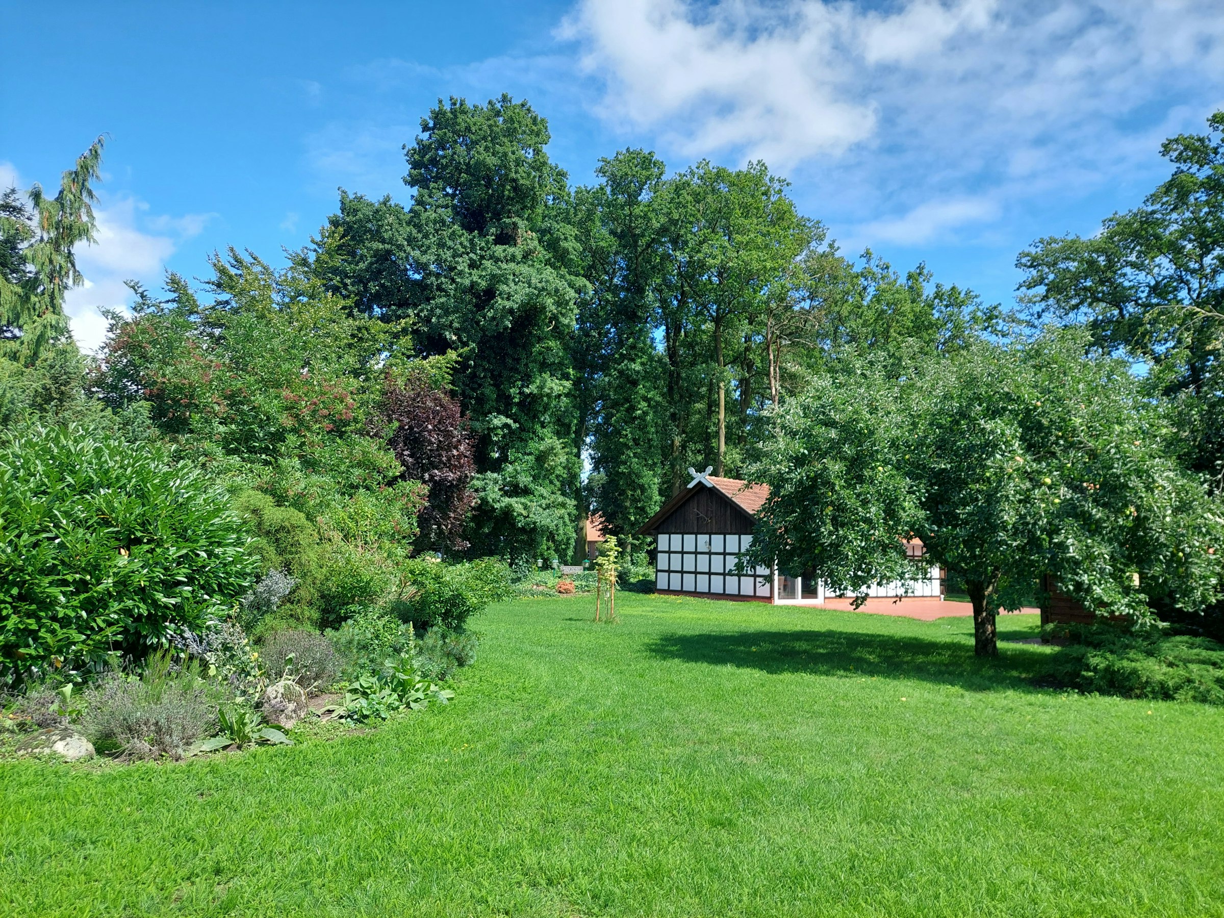 Grüne Oase im Stemweder Land photo 5