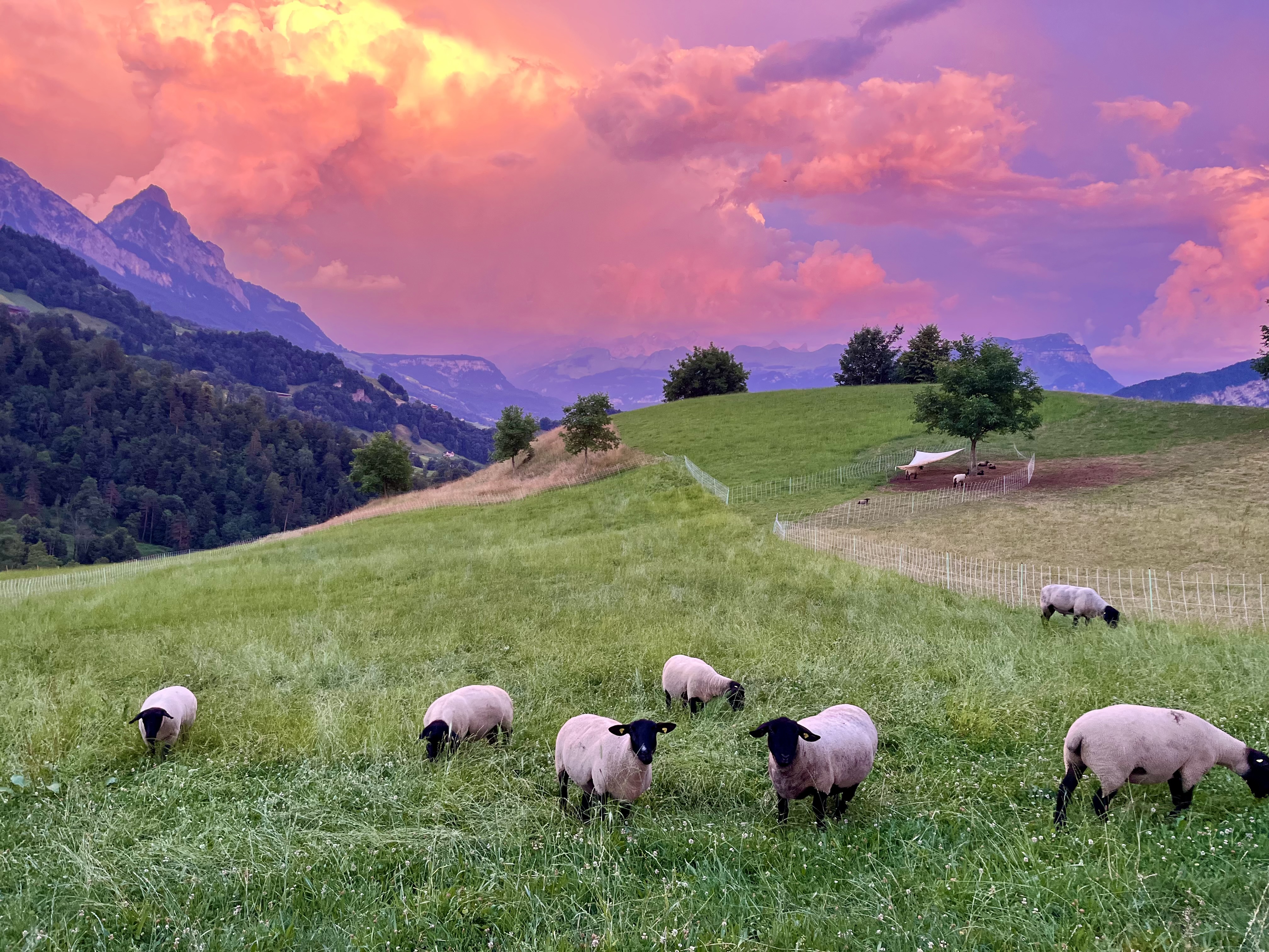 Bergblick photo 5