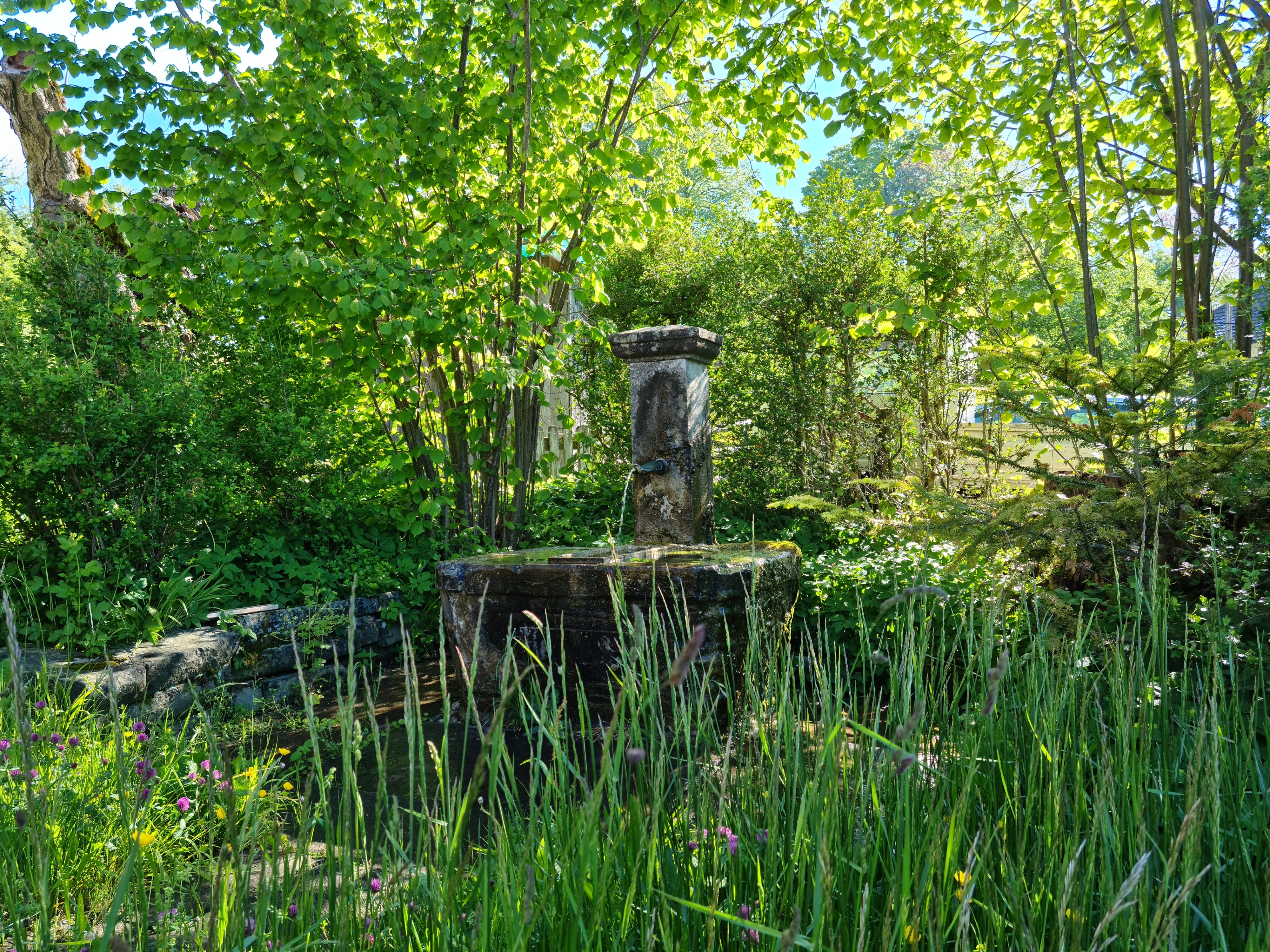 Unter den Bäumen photo 5