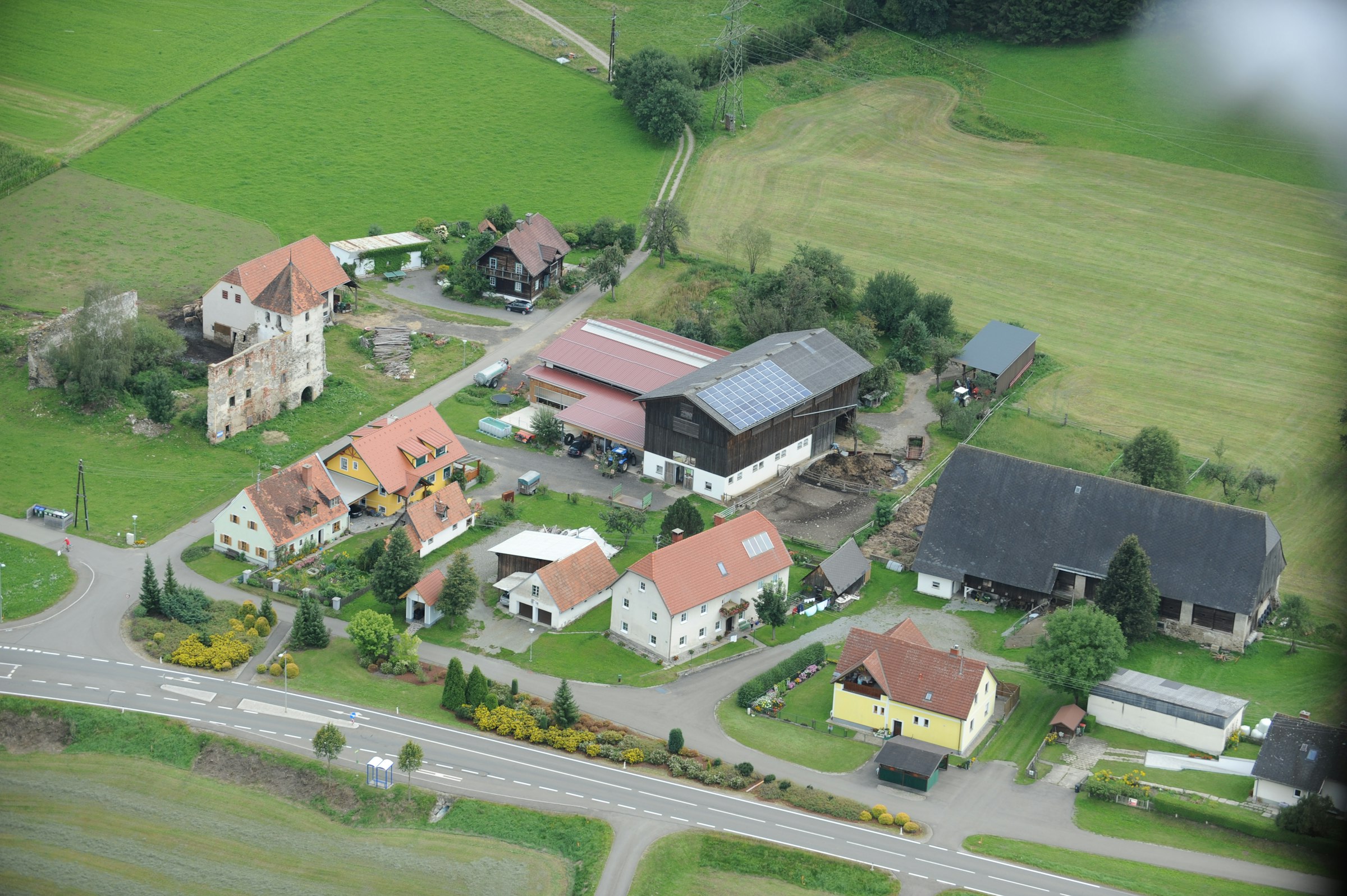 Ruhiger Obstgarten und Bauernhof photo 4