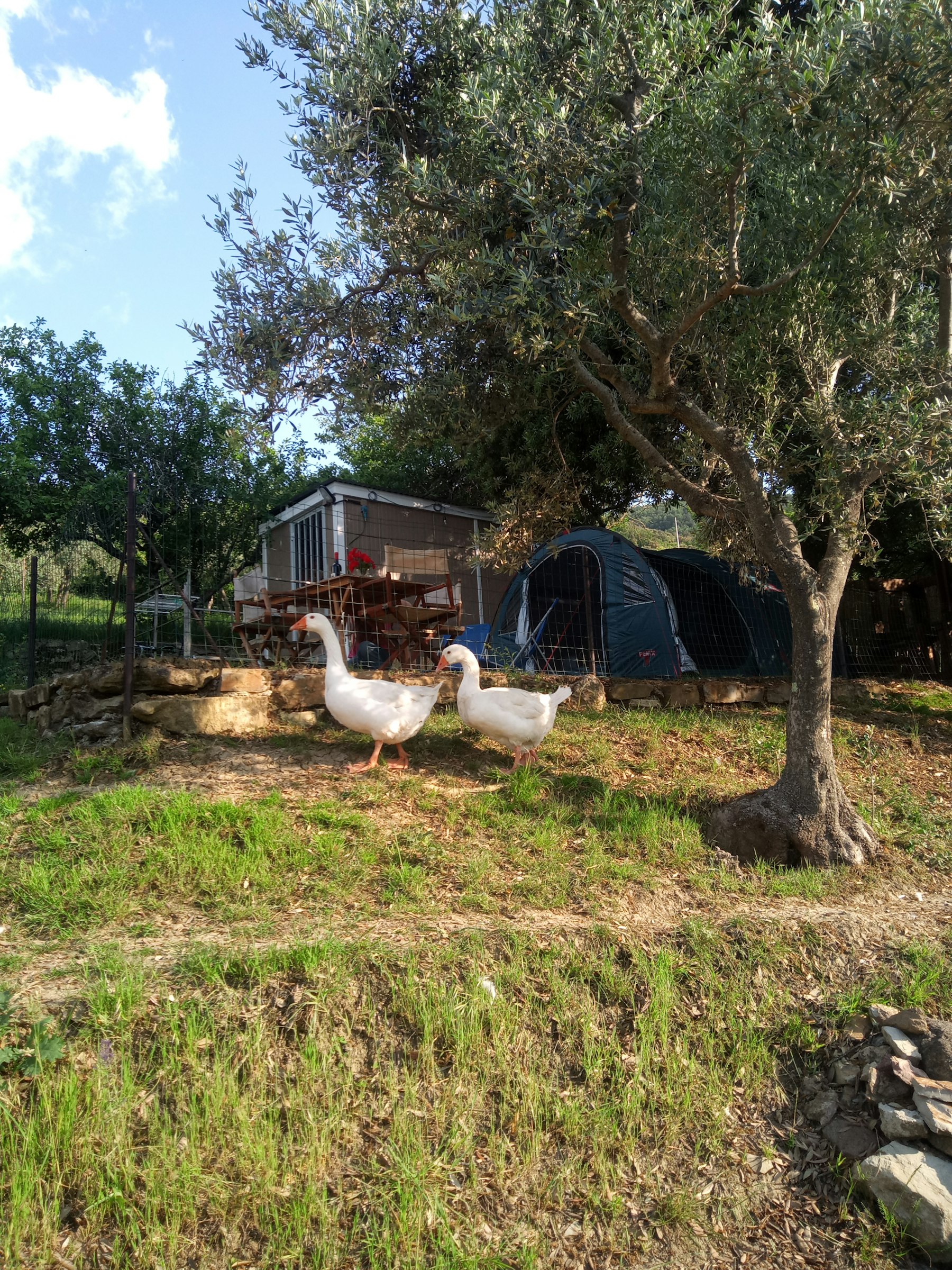 Il Biadule Glamp photo 4