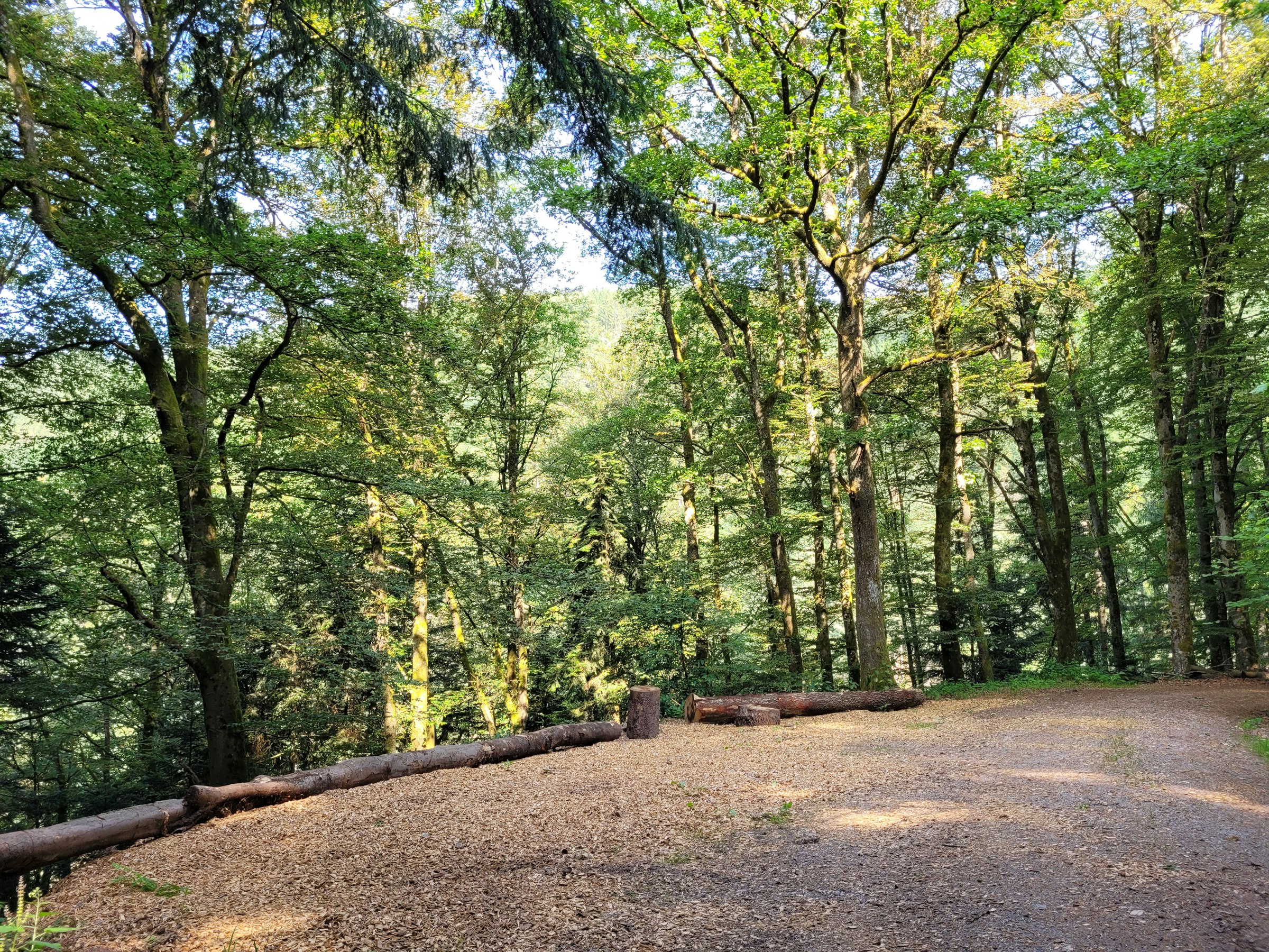 Naturcampingplatz unter den Buchen photo 5