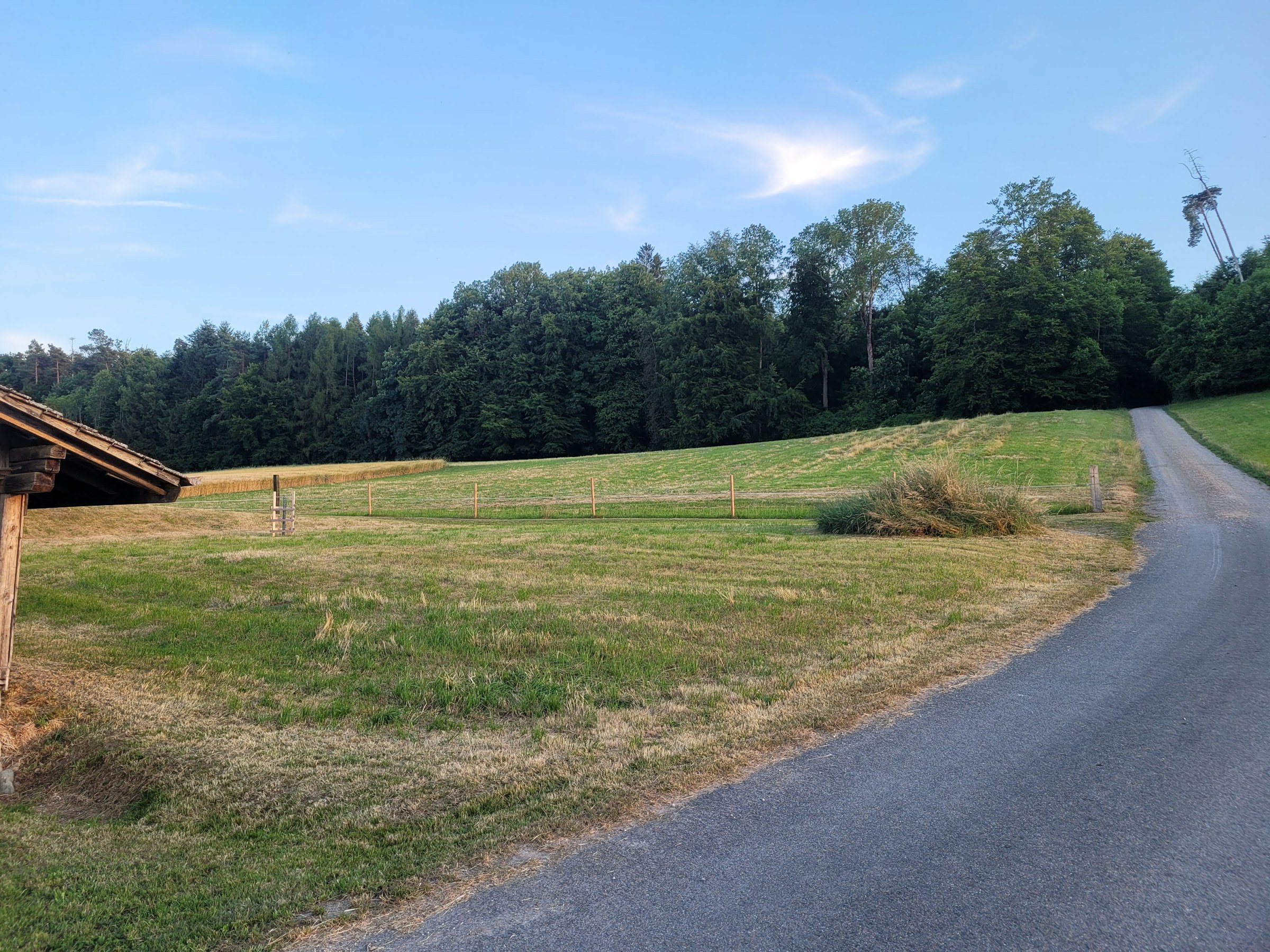 Abgelegene Idylle in Moorwilen photo 4