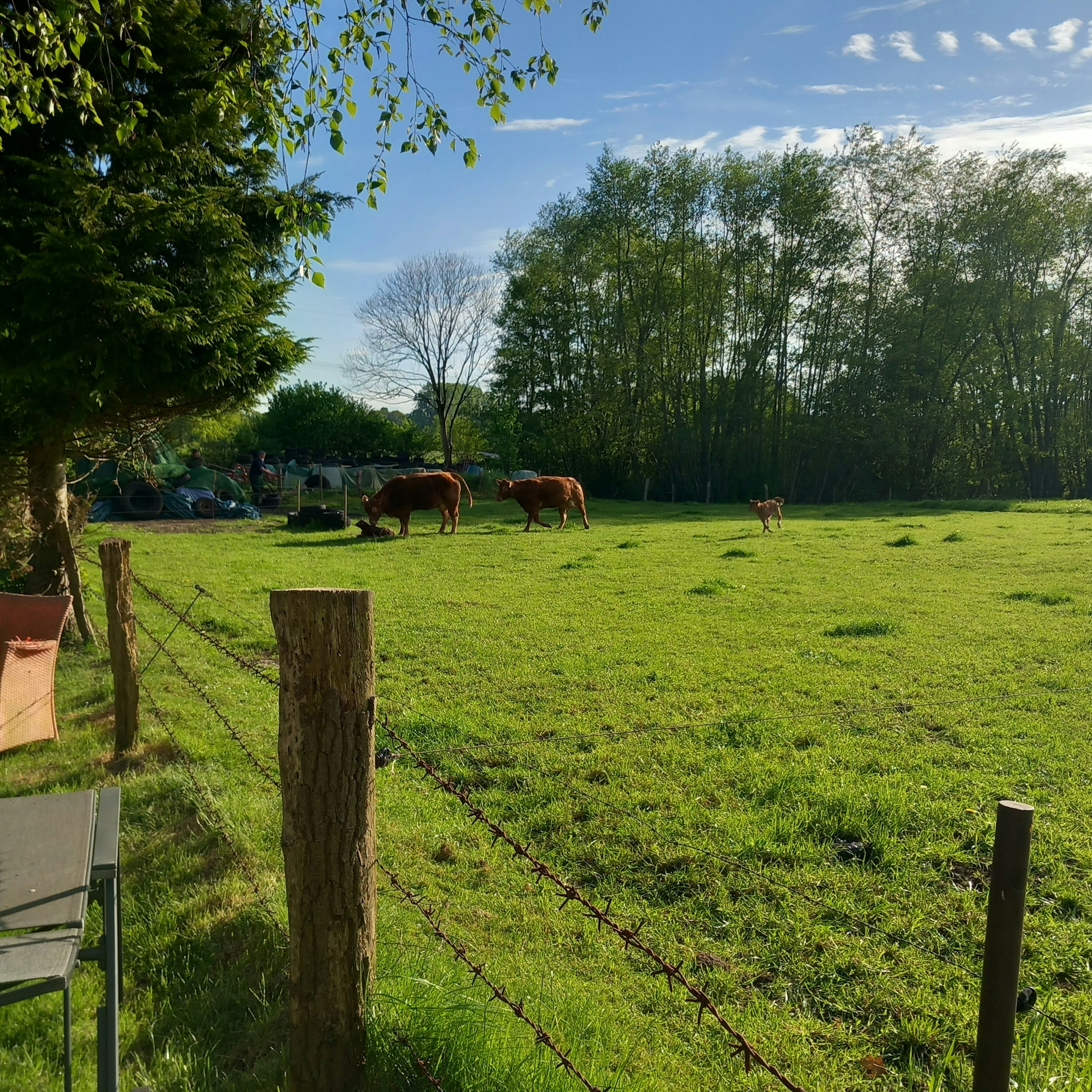 Camping Gloy photo 4