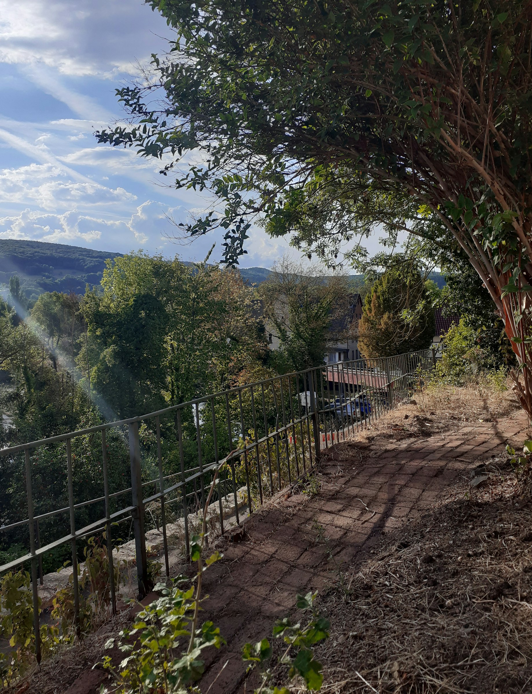 Zelten mit Stadtmauer u. Werrablick photo 2