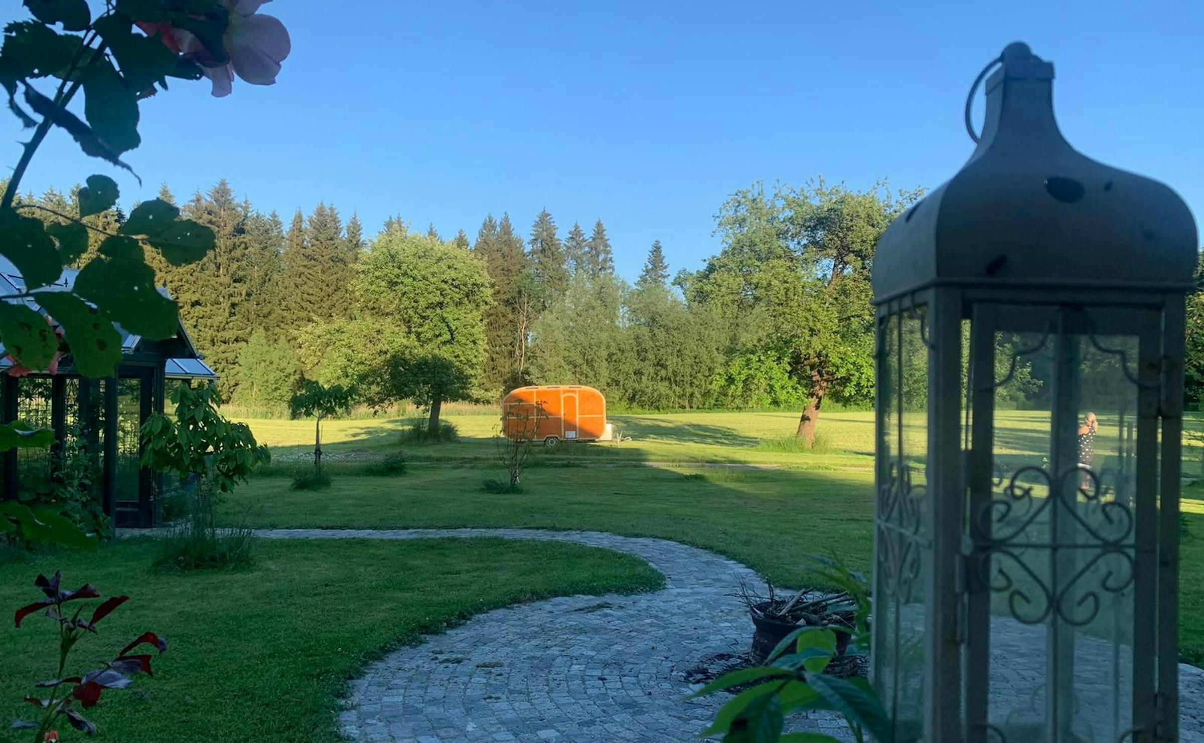 zwischen Obstbäumen mit Waldblick photo 5