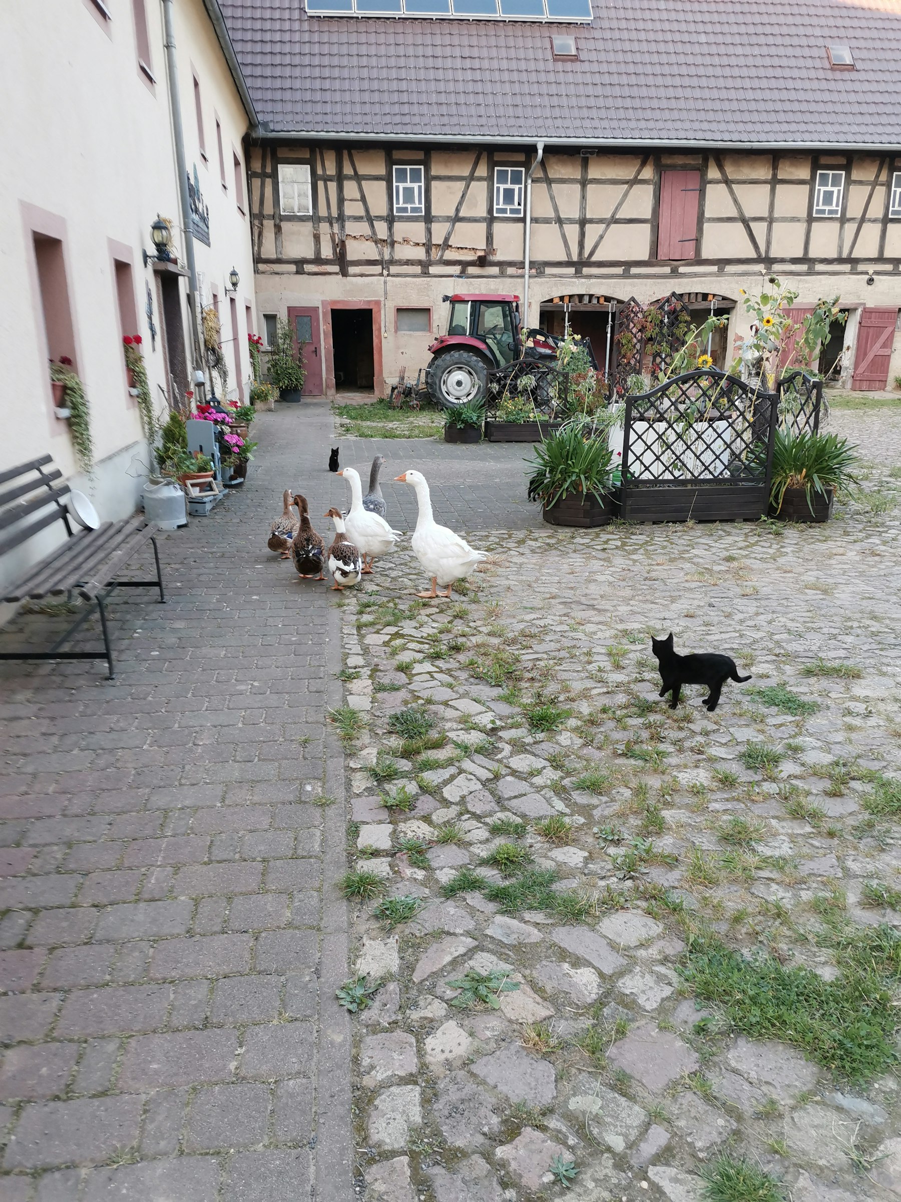 Auszeit und Stille genießen photo 2