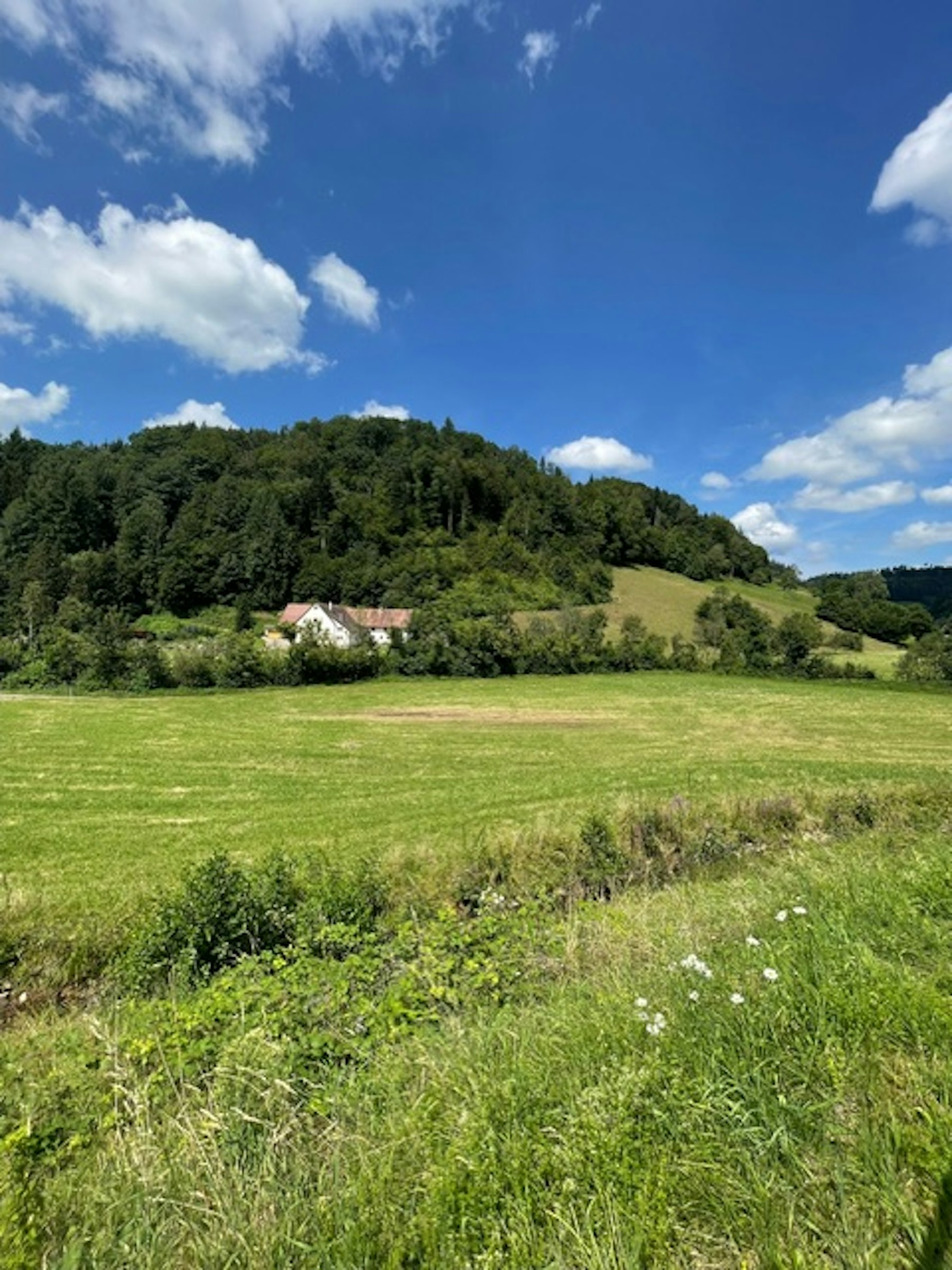 Camp mit Blick durchs Tal photo 5