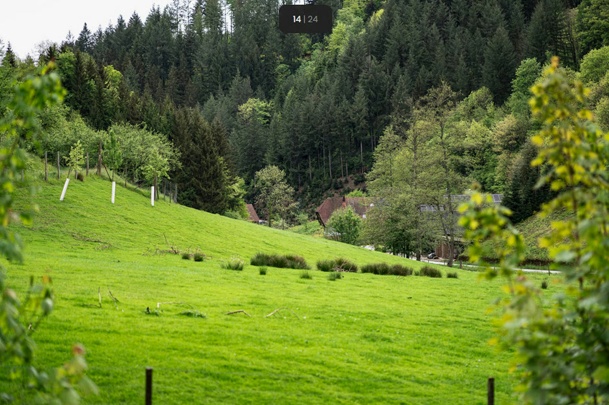 Schlafen im Heu photo 4