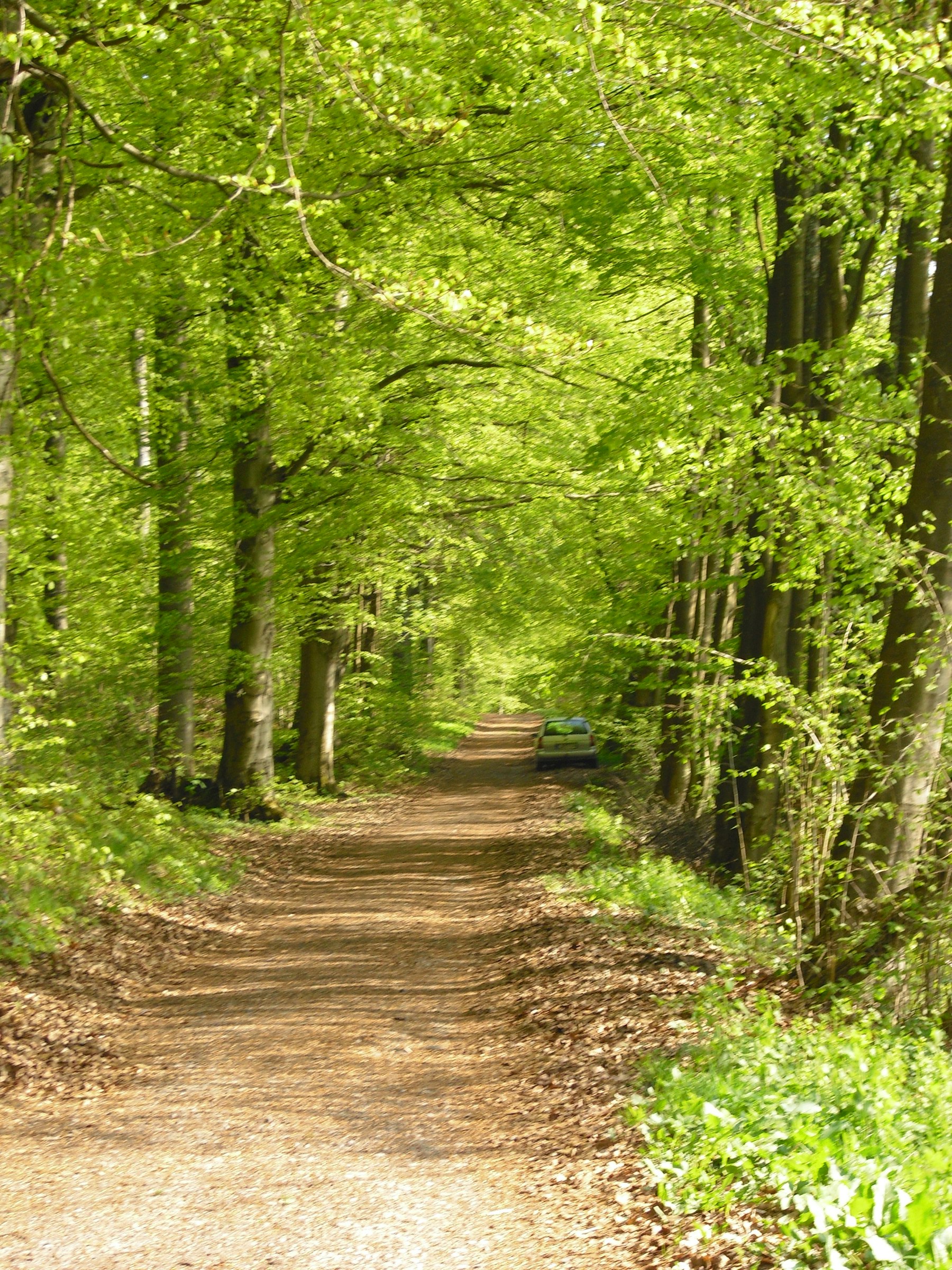Stellplatz an Wanderroute und Höhle photo 3