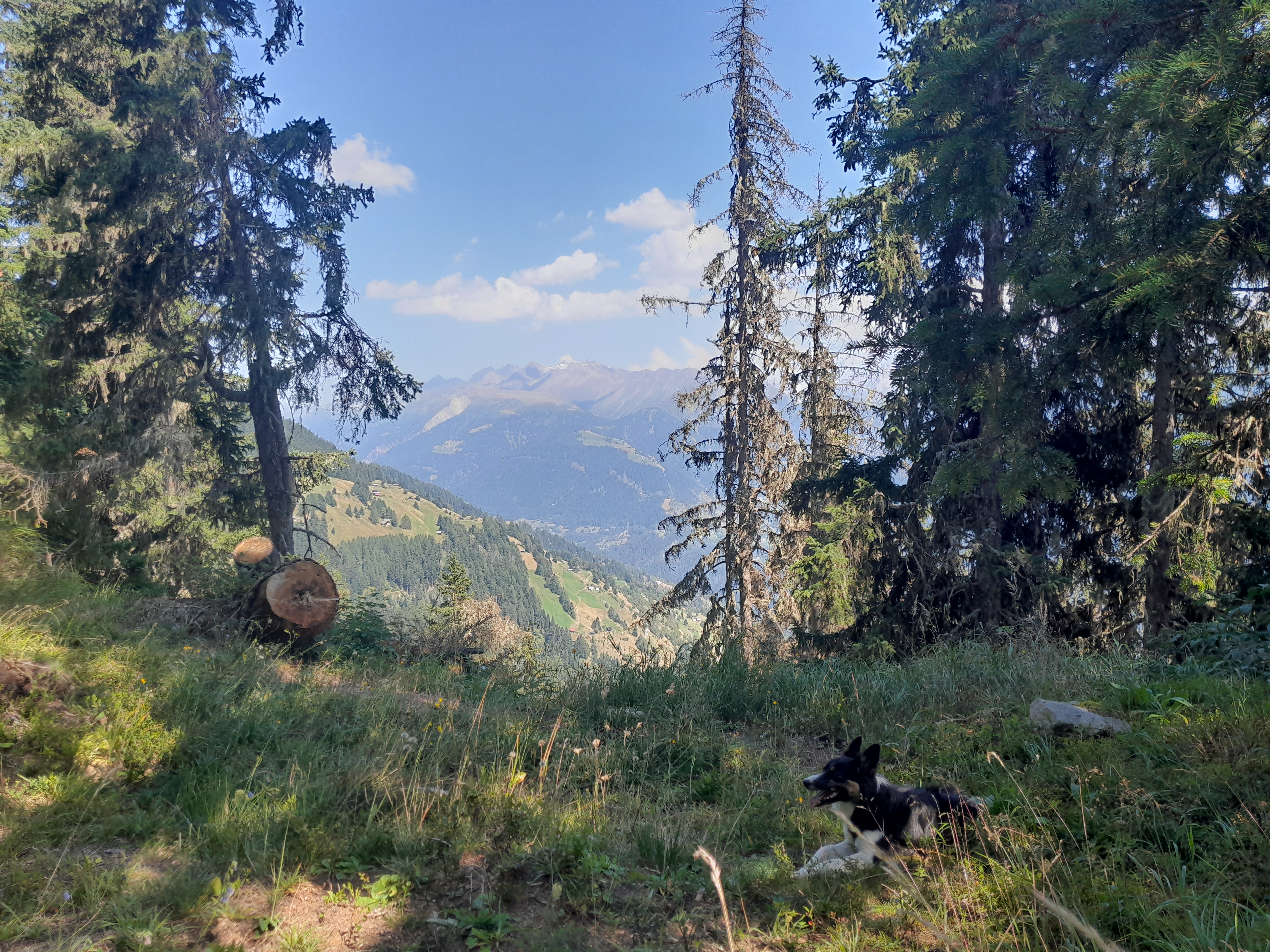 Zelten mit Sicht vom Goms bis auf den Simplon photo 4