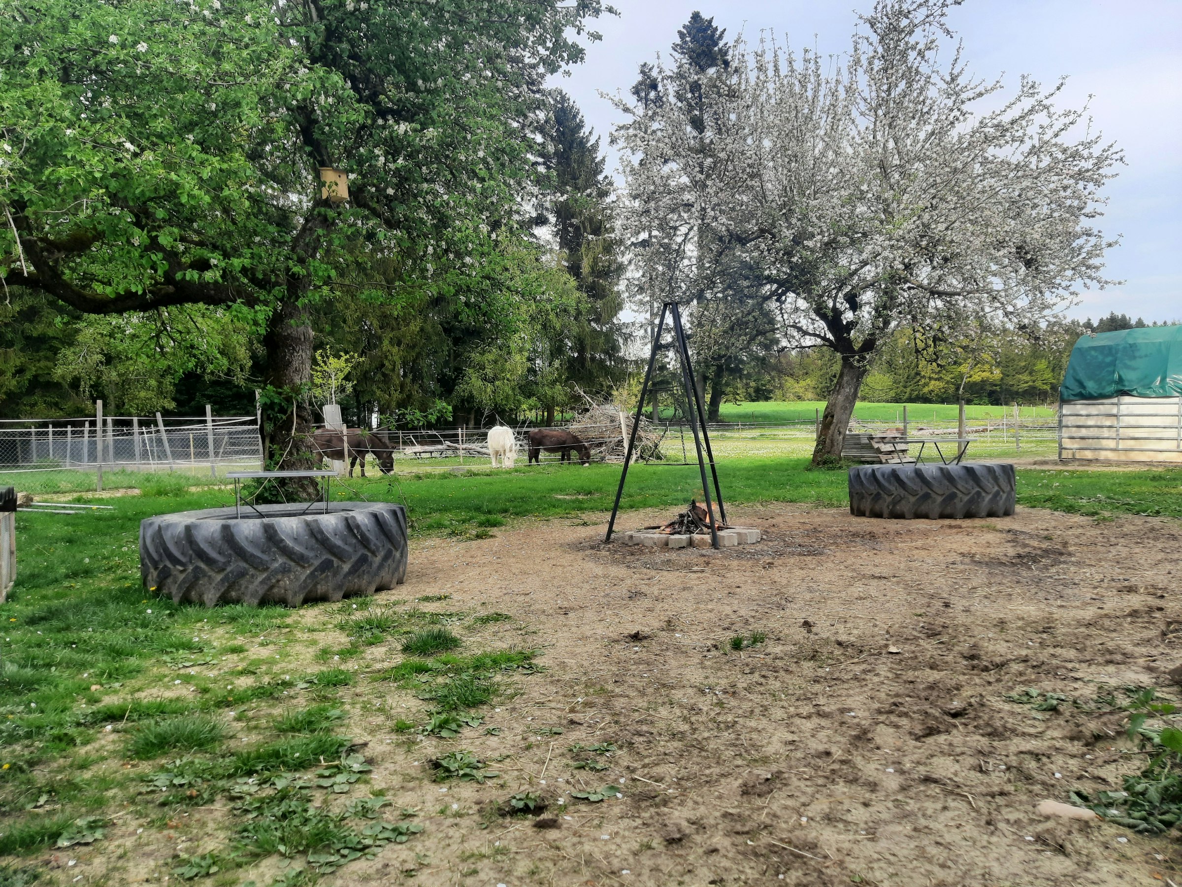 Camp Hintermatt photo 4