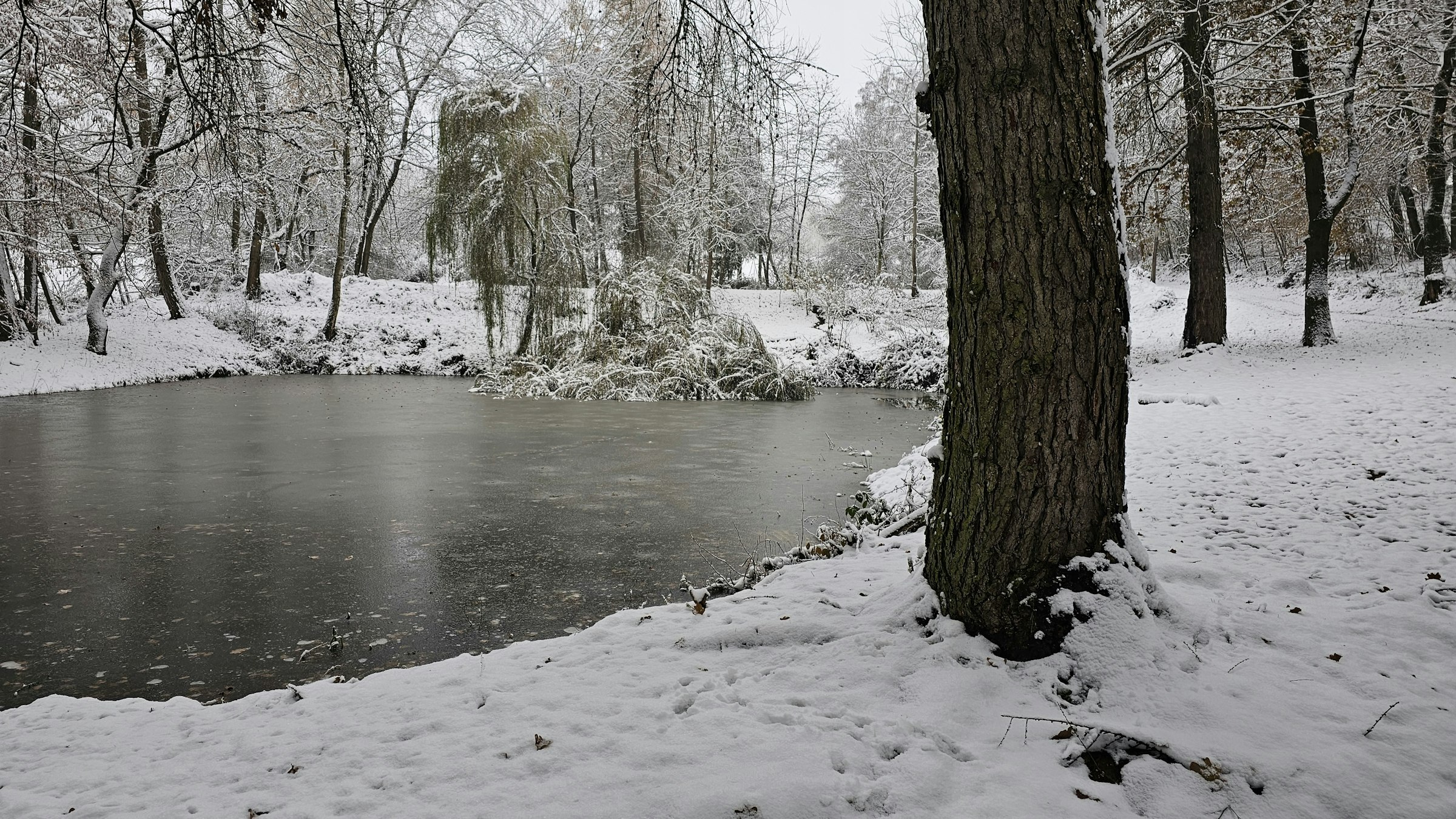 Teich im Wald, sehr ruhig 25000m2 photo 2