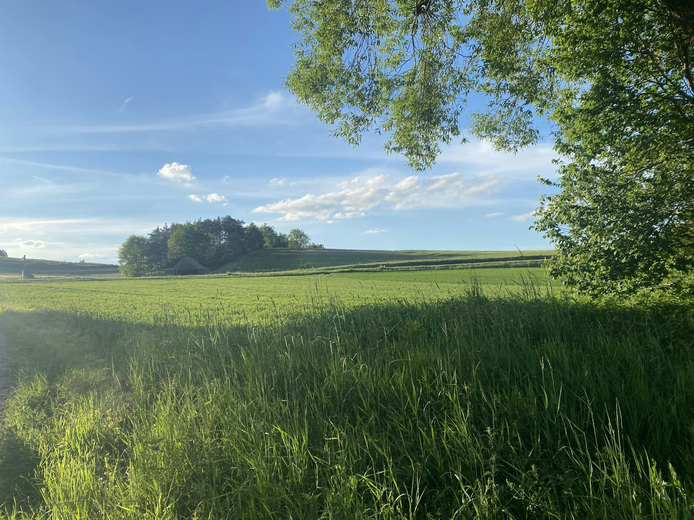 Auszeit von der Stadt photo 4