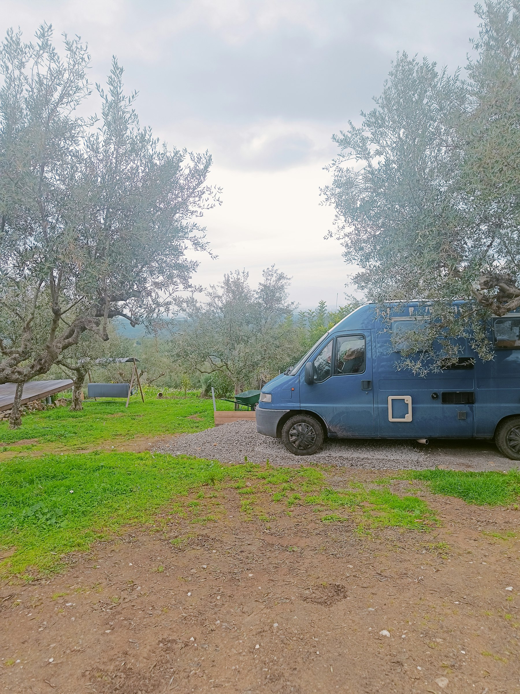 Stille im Olivenhain mit Meerblick photo 3