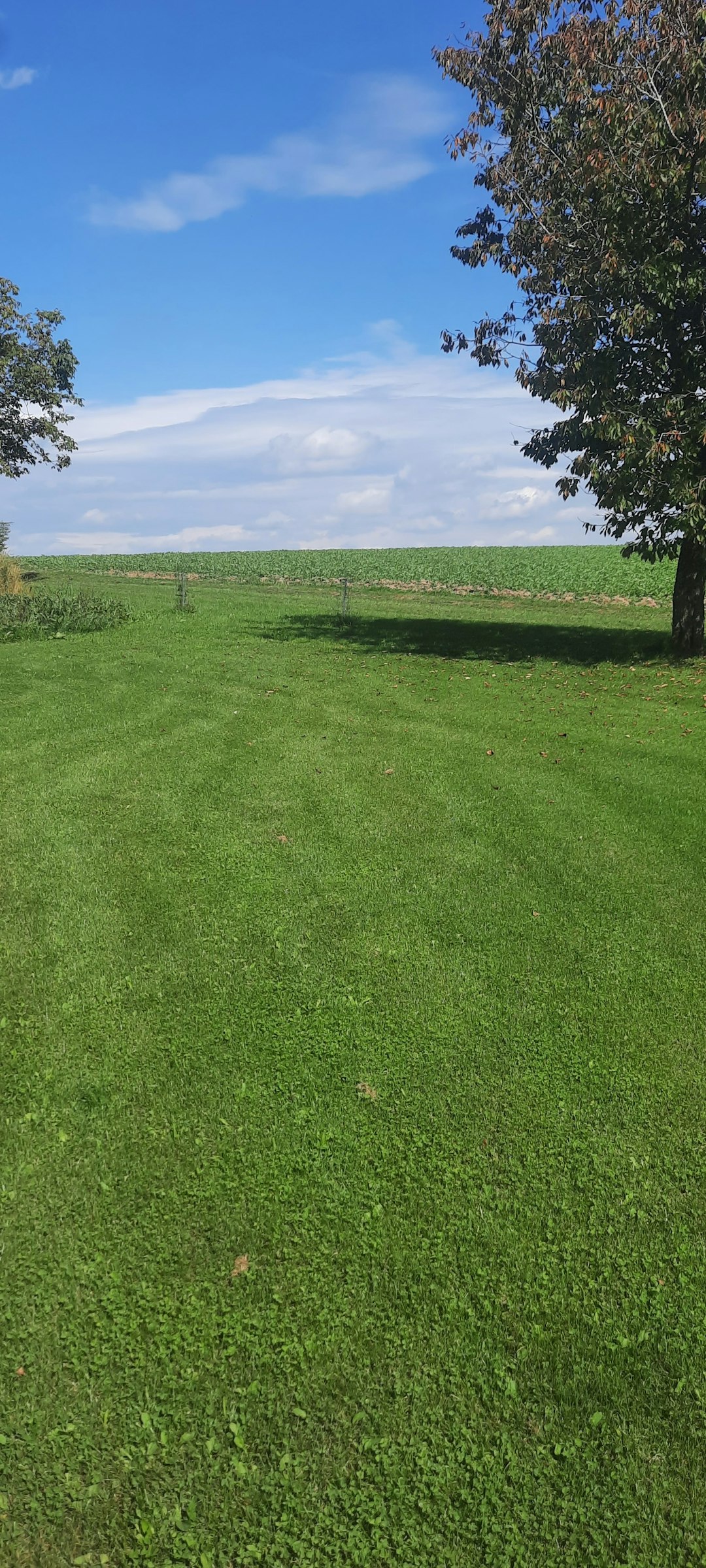 In der Naturwunderregion photo 3