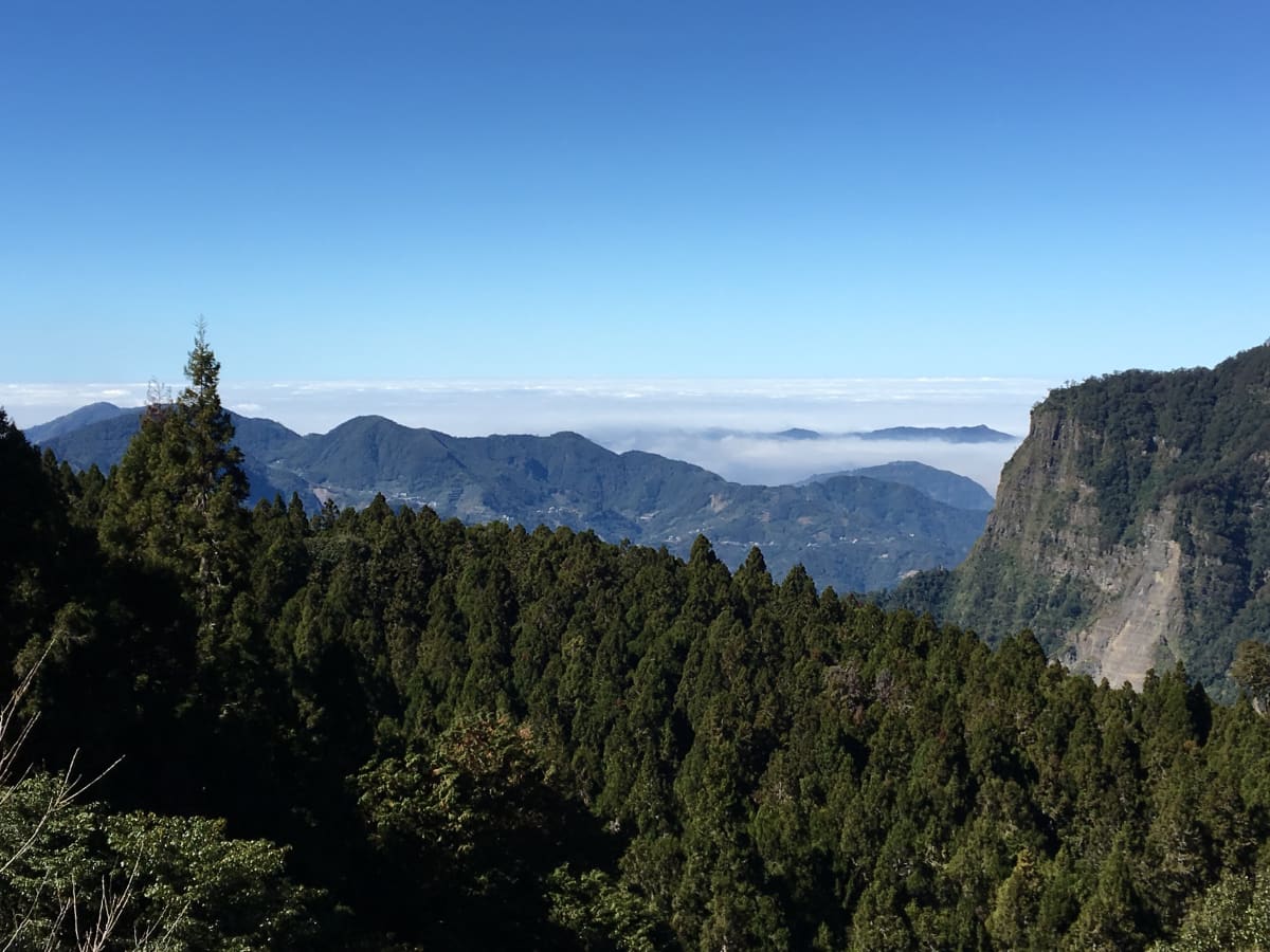 毛毛