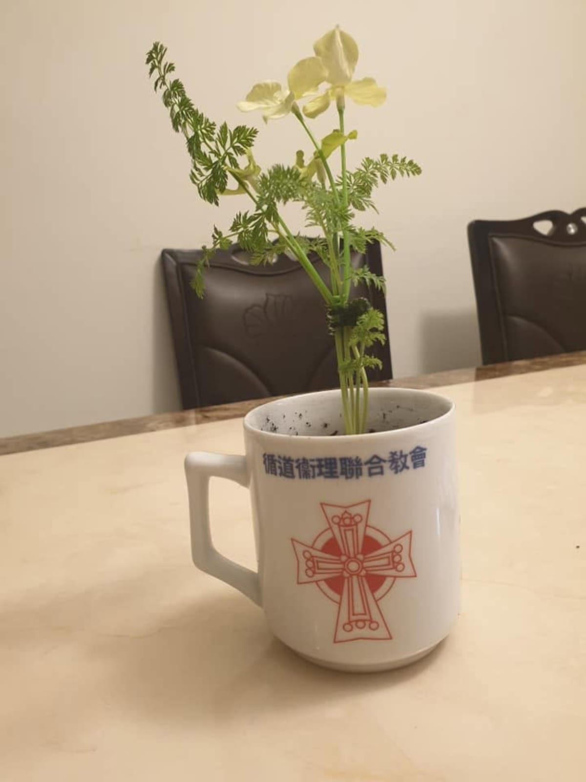 描述