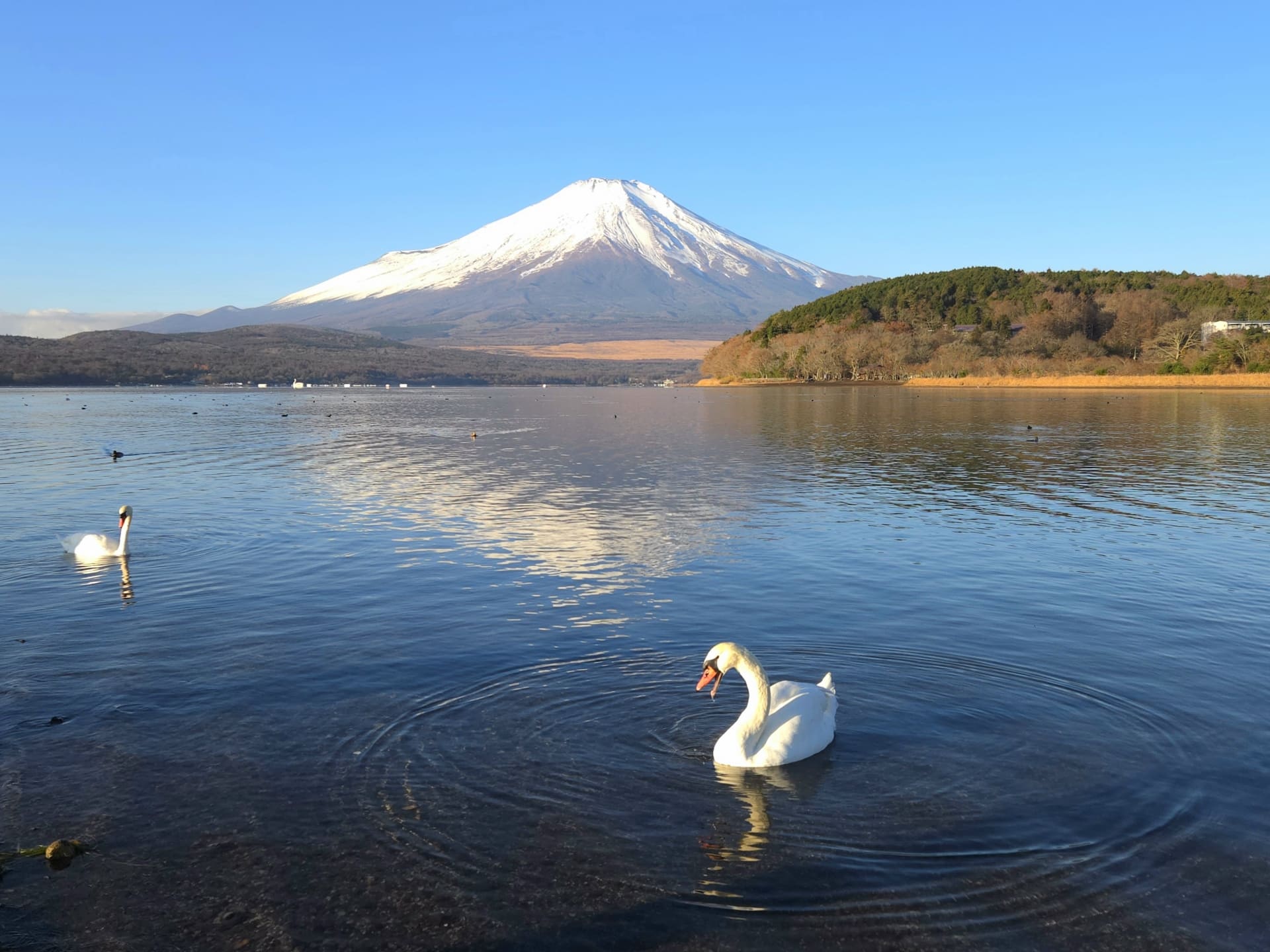 山中湖