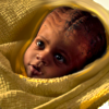 Mochlan baby in basket with blankets