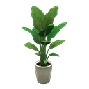 bird-of-paradise in Animal Crossing New Horizons