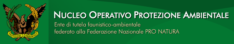 NOPA