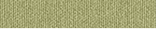 A 919.png