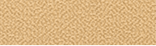 P 205.png