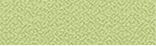 P 215.png