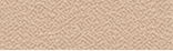 P 223.png