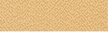 P 105.png