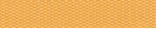 DN 228.png