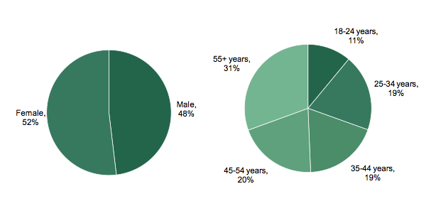 user demographics split