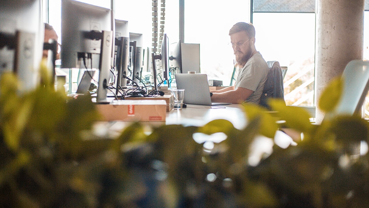 man works alone at desk in a large sun-filled workspace framed by plants and computers