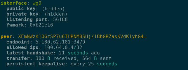 A WG-STUN peer configured on Meshnet interface