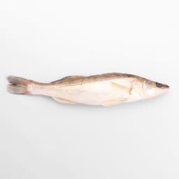 Gös