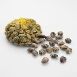 Mussla Venus Vongole