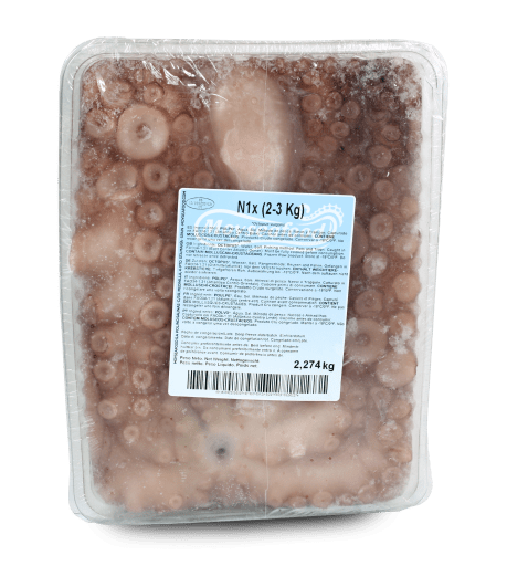 Octopus Tray Pulpo/Blæksprutte str 2-3kg, hel, renset