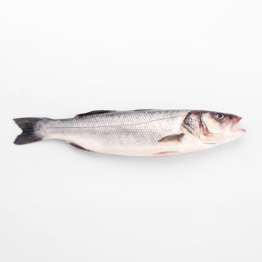 Havsabborre ASC