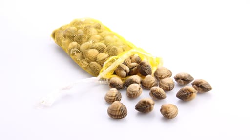 Mussla Hjärtmusslor