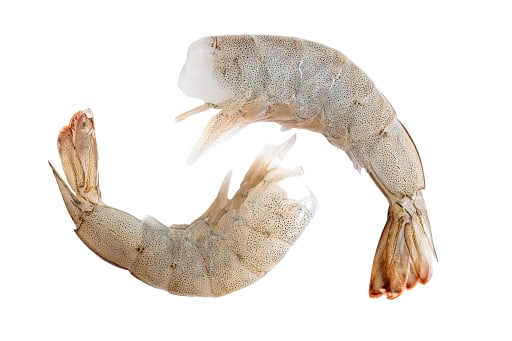 Black Tiger Shrimps, 8/12, 75%  HLSO, EP
