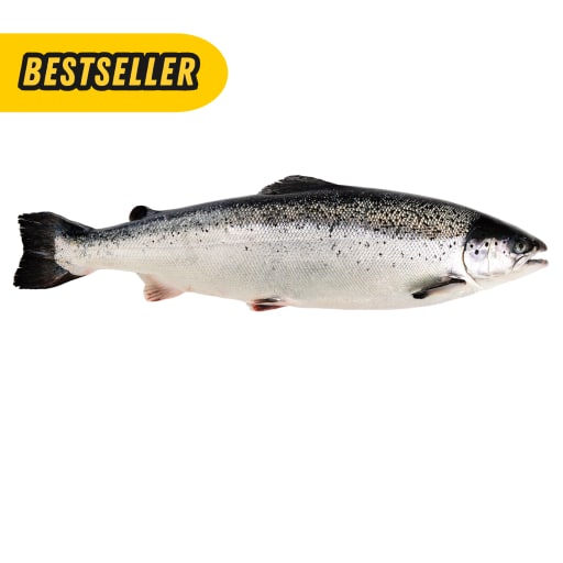 Laks, str 5/6kg pr fisk (Salmo Salar)