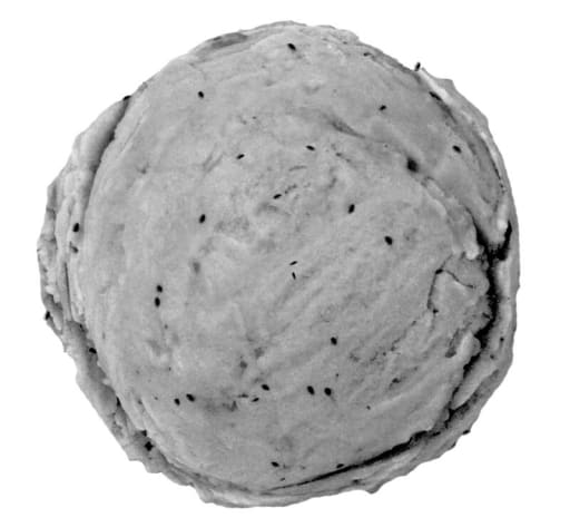 Is Sort sesam - 5L pr pk