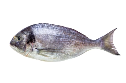 Seabream/Dorade 900-1100g
