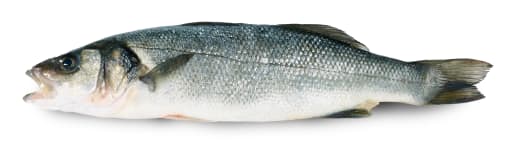 Seabass/Havbars 1100-1400g