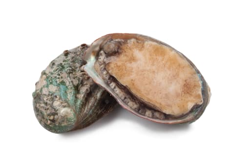 Abalone XL 5-6 stk/kg